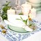 50 Pack Flower Bird Paper Place Mats Blue White Hydrangea Branches Disposable Placemat
